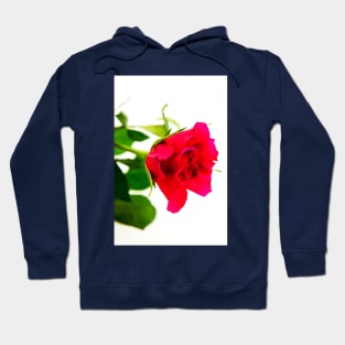 Red Rose For You Hoodie